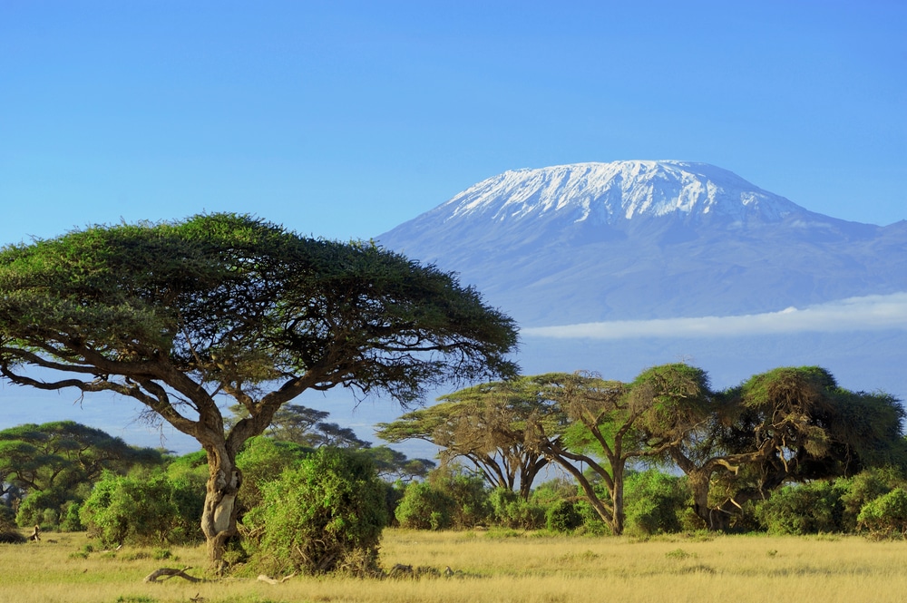 voyage en tanzanie vaccins